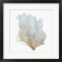 Delicate Coral I Framed Print