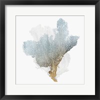Delicate Coral III Framed Print