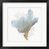 Framed Delicate Coral III