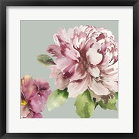 Pink Peony I Framed Print