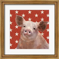 Framed 'Patriotic Farm III' border=