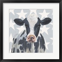 Patriotic Farm II Framed Print