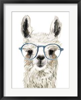 Hip Llama II Framed Print