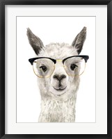 Framed Hip Llama IV