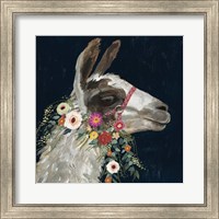 Framed 'Lovely Llama I' border=