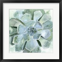 Framed 'Verdant Succulent III' border=