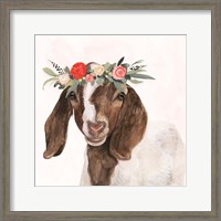 Framed 'Garden Goat II' border=