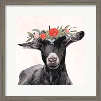 Framed 'Garden Goat III' border=