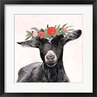 Garden Goat III Framed Print