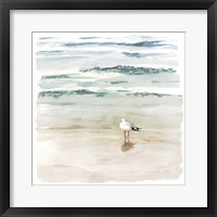 Seagull Cove II Framed Print