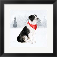 Christmas Cats & Dogs II Framed Print