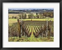 Framed Pastoral Countryside XVI