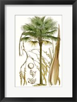 Curtis Palms I Framed Print