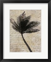 Framed Palm Silhouette