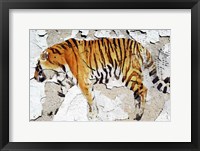 Framed Siberian Tiger V