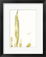 Under Sea Forest III Framed Print