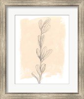 Framed 'Branch on Blush II' border=