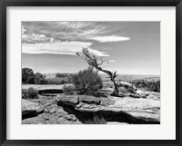 Canyon Lands IV Framed Print