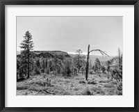 Canyon Lands V Framed Print