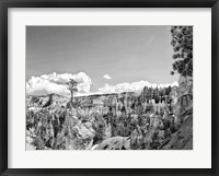 Framed Canyon Lands VI