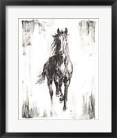 Rustic Black Stallion I Framed Print