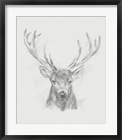 Framed Contemporary Elk Sketch II