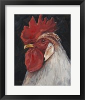 Framed 'Rooster Portrait II' border=