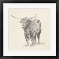 Framed Longhorn Steer Sketch I