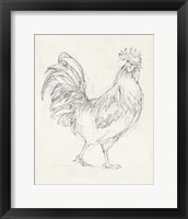 Framed 'Rooster Sketch I' border=