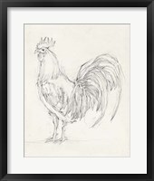 Framed 'Rooster Sketch II' border=