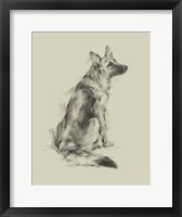 Puppy Dog Eyes V Framed Print