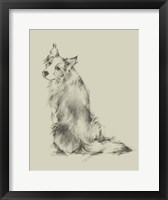 Puppy Dog Eyes VI Framed Print