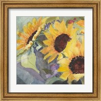 Framed 'Sunflowers in Watercolor I' border=