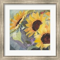 Framed 'Sunflowers in Watercolor I' border=