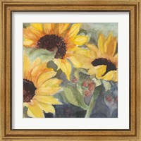 Framed 'Sunflowers in Watercolor II' border=