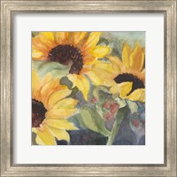 Framed 'Sunflowers in Watercolor II' border=