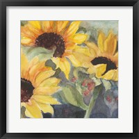 Framed Sunflowers in Watercolor II