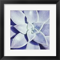 Ultra Violet I Framed Print