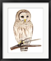 Hoo Dis III Framed Print