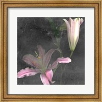 Framed 'Fleur de Lys II' border=