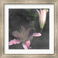 Framed 'Fleur de Lys II' border=