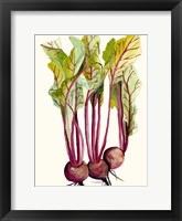 Early Harvest II Framed Print