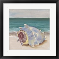 Framed 'She Sells Seashells I' border=