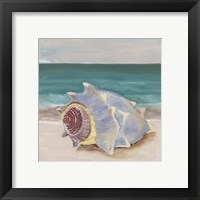 Framed 'She Sells Seashells I' border=