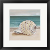 Framed 'She Sells Seashells II' border=