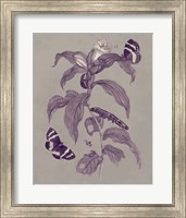 Framed 'Nature Study in Plum & Taupe I' border=