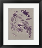 Framed 'Nature Study in Plum & Taupe II' border=