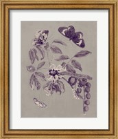 Framed 'Nature Study in Plum & Taupe II' border=