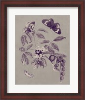 Framed 'Nature Study in Plum & Taupe II' border=