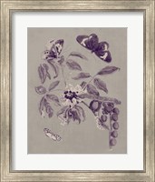 Framed 'Nature Study in Plum & Taupe II' border=